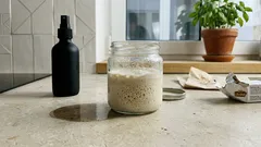 Regar com levedura: como preparar e usar este fertilizante caseiro sem excessos