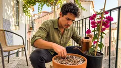 Terraço ao sol sem vasos tristes: 10 plantas que aguentam o calor e dão cor