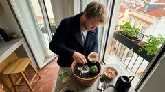 Está a deitá-las fora à toa? Onde as cascas de ovo ajudam mesmo na horta — e como usar sem cheiros