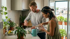 O que acontece se regar plantas de interior com levedura — e o erro que pode sufocar as raízes