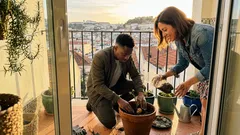 Acha que plantar rosas é difícil? Três escolhas que mudam tudo (no jardim ou em vaso)