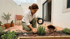 Jardim bonito, pouca manutenção: 10 escolhas simples que poupam água e tempo