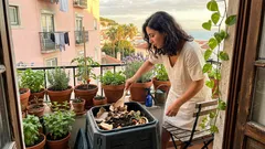 Como usar borras de café no jardim: o que melhora no solo (e o que pode correr mal)