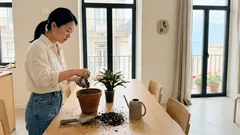 Flor-de-maio em casa: pequenos ajustes que a fazem florir todos os anos