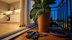 Bonitas, mas podem causar irritação: 8 plantas comuns e como evitar sustos com crianças e animais