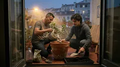 Tangerineira no quintal (ou num vaso grande): o guia simples com os números que fazem a diferença