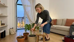 Como manter as plantas de interior regadas nas férias (sem pedir chaves a ninguém): 3 sistemas simples de auto-rega