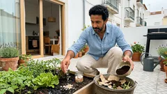 Adubo para a horta: 5 adubos caseiros simples (e o cuidado com o pH que faz a diferença)