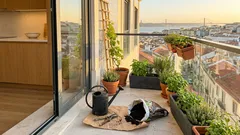 Varanda pequena, verde em grande: ideias simples para criar um jardim (ou horta) em casa