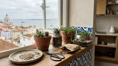 Mini jardim em casa: passos simples para um canto verde que dura (mesmo sem varanda)